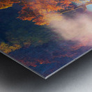 Valley Oaks Metal print