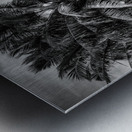 Whispers of Monochrome Palms Metal print