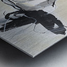 IMG 1212 Metal print