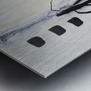 IMG 1213 Metal print