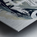 IMG 1030 Metal print