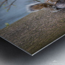 Squirrels In Love Metal print