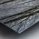 Snowy Belper Woods Metal print