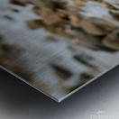 Seagull Pose Metal print