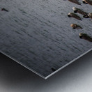 The flock on Cayuga Lake - Lansing NY Metal print