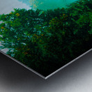 Summer on Fall Creek Ithaca NY Metal print