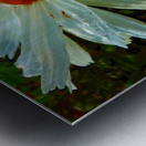 Colour Pop Daisy with an Abstract Background Metal print