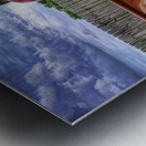 1948 CHEVY THRIFTMASTER Metal print