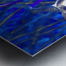 Abstract Psychedelic Daffodils                                                                                                                      Metal print