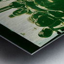 1968 Oregon Ducks Football Viewfinder Metal print