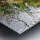  Springtimes Trees in the Scottish Highlands                                                                                                                     Metal print