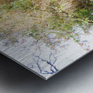 Scottish Highlands Spring Pines                                                                                                                      Metal print