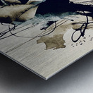 IMG 7448 Metal print