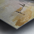 IMG 5797 Metal print