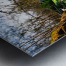 Closeup shot of wild garlic and thimbleweed in the beautiful forest in early spring at sunset Metal print