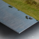 Cheetah Hunting Party Metal print