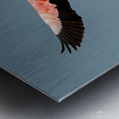 Flamingo Splashdown Metal print