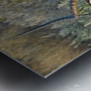 Impala Reflection Metal print