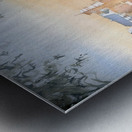Dawn over Celebration Metal print