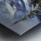 Winter can be So Beautiful Metal print