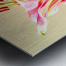   Colourful Lilies                                                                                                    Metal print