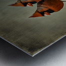 CARDINALS  4 Metal print