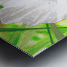 Abstract White Wild Poppy  Metal print