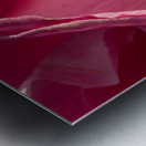 Delicate Pink Rose Metal print