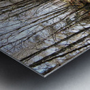 Early April in the Scottish Highlands                                                                                                                   Metal print