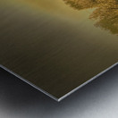 New Beginnings Metal print