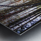   Fairy Dell in the Scottish Highlands                                                                                                                    Metal print