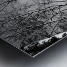  Scottish Highlands Monochrome Trees                                                                                                                    Metal print