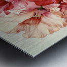 Hollyhocks Metal print