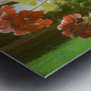 Geranium in My Sunroom Metal print