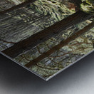   Scottish Highlands Spring Sunlight                                                                                                                    Metal print