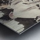 1909 Honus Wagner and Ty Cobb Metal print