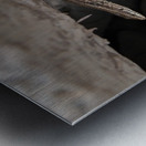 A.P.Polo - Pyrenees Metal print