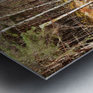 Scottish Highlands Spring Ramble                                                                                                                    Metal print