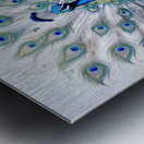 Peacock Showing Off Metal print