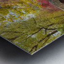 Gapstow bridge in autumn Central Park New York city Metal print