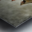 CARDINALS 7 Metal print