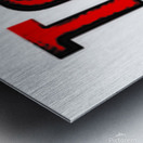 Totalitarianism Metal print
