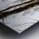 Natures Spring Caress for the Scottish Highlands                                                                                                                      Metal print