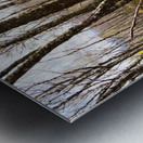 Springs Hello for the Scottish Highlands                                                                                                                      Metal print