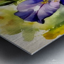 Four o clock flowers14k4 Metal print