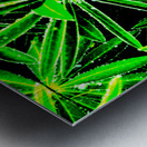 Abstract Lupin Leaves                                                                                                                      Metal print