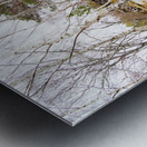   Fairies Delight in the Scottish Highlands                                                                                                                    Metal print