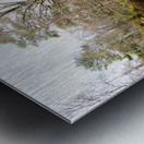 Springs Birch Song for the Scottish Highlands                                                                                                                      Metal print