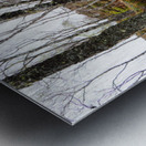  Springs Fairy Dance in the Scottish Highlands                                                                                                                     Metal print