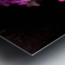 Portrait of Plants- Colour Out of Darkness Metal print